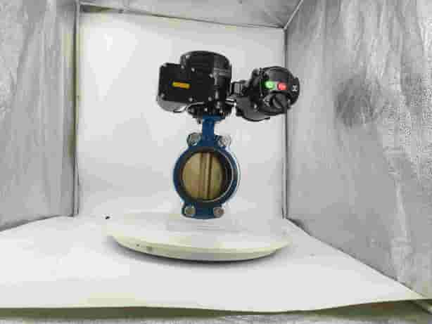 Pengeluar OEM injap rama-rama elektrik kalis letupan